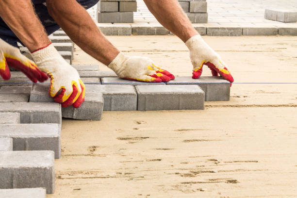 Best Driveway Paving Contractor  in Vienna, IL